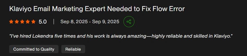 Upwork verified client review 9
